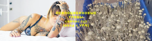 хмурый Козловка