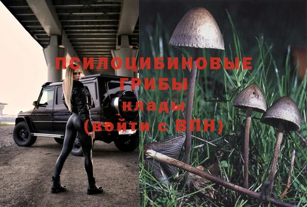 PSILOCYBIN Кинешма