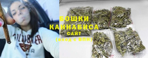 хмурый Козловка
