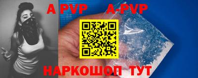стаф Гай