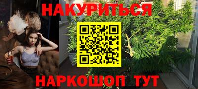 стаф Гай