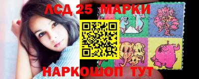 стаф Гай