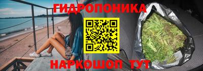 стаф Гай