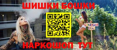 стаф Гай