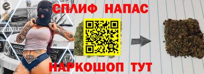 стаф Гай