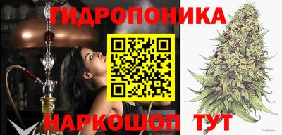 стаф Гай
