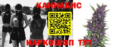 дмт Гатчина