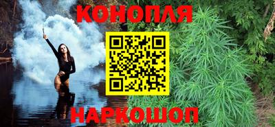 стаф Гай