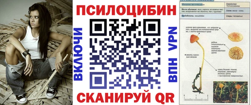 OMG маркетплейс  Мыски  Псилоцибиновые грибы Cubensis 