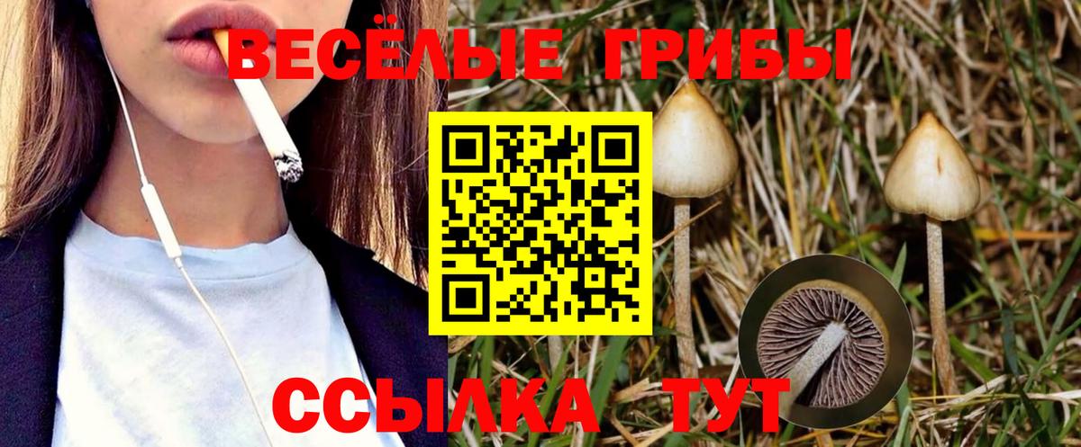 Галлюциногенные грибы мухоморы Мыски