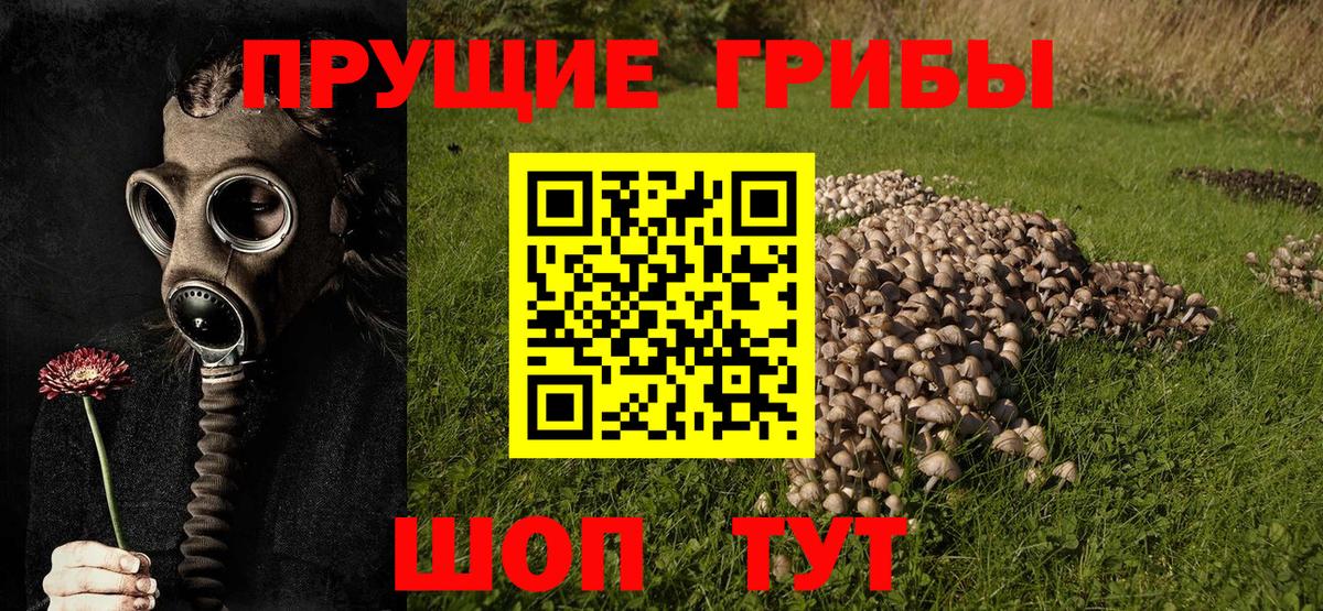 Мыски  Псилоцибиновые грибы мицелий  Вход с VPN 