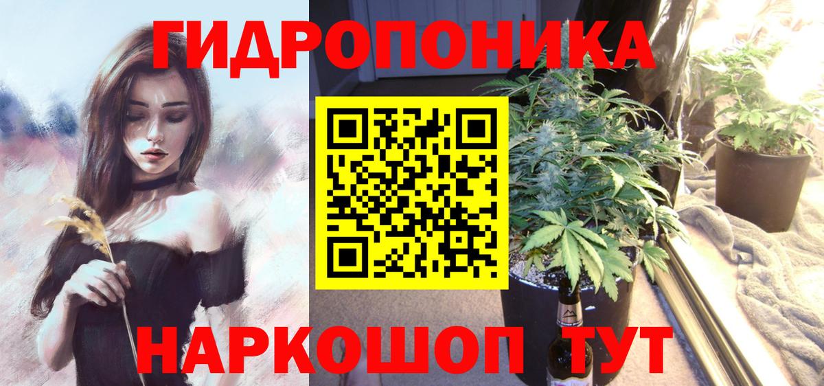 Конопля гибрид Мыски